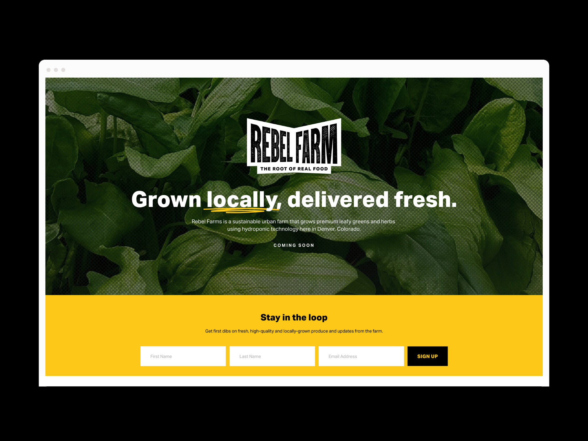 Rebel Farm brand and website designed by Alexa B. Taylor